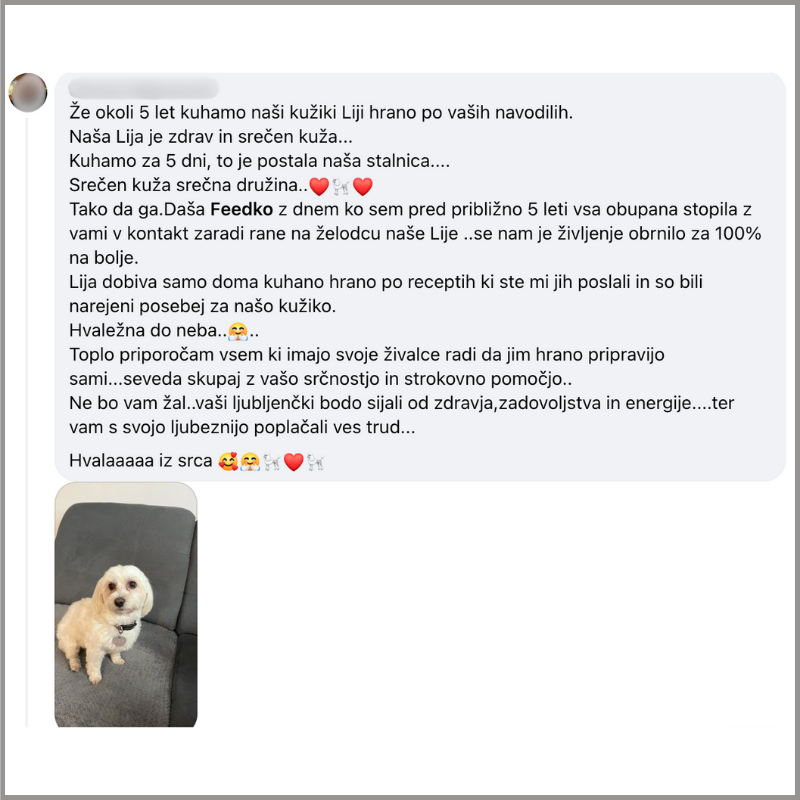 Mnenja strank, Feedko priporočamo