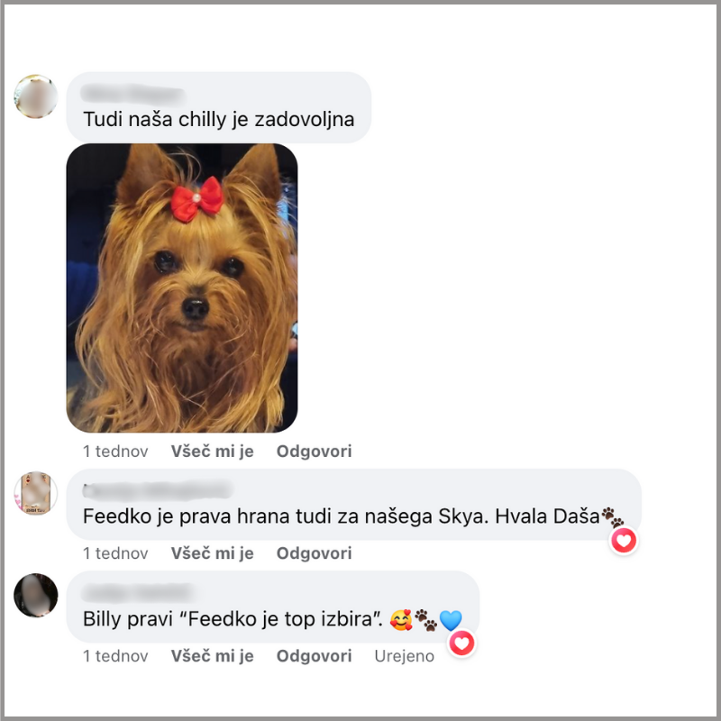 Mnenja strank, Feedko priporočamo