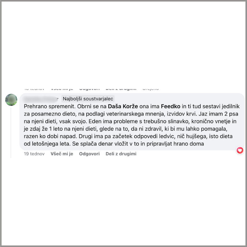 Mnenja strank. Feedko priporocamo35