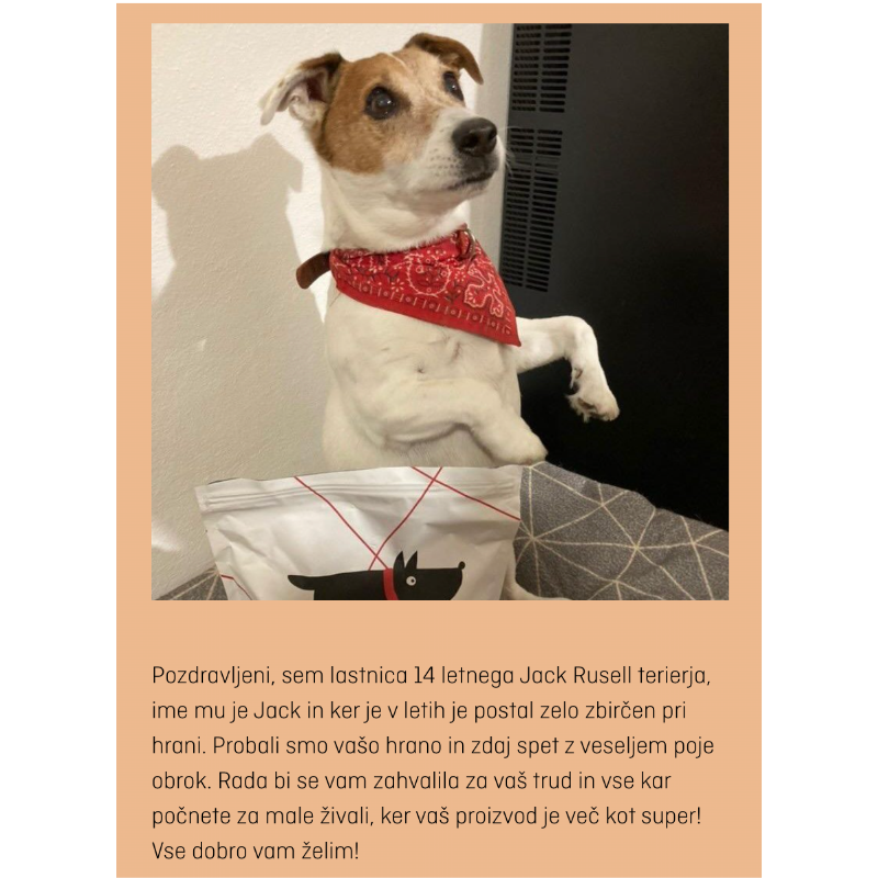 Mnenja strank, Feedko priporočamo