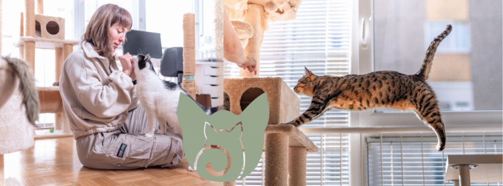 Helena Pauko x Feedko, op